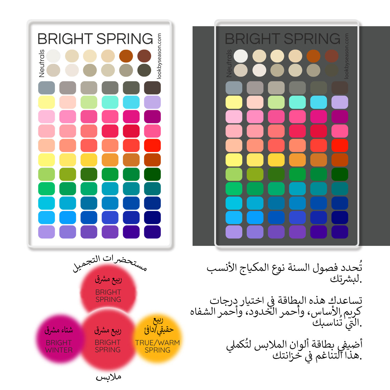 Swatch Card
