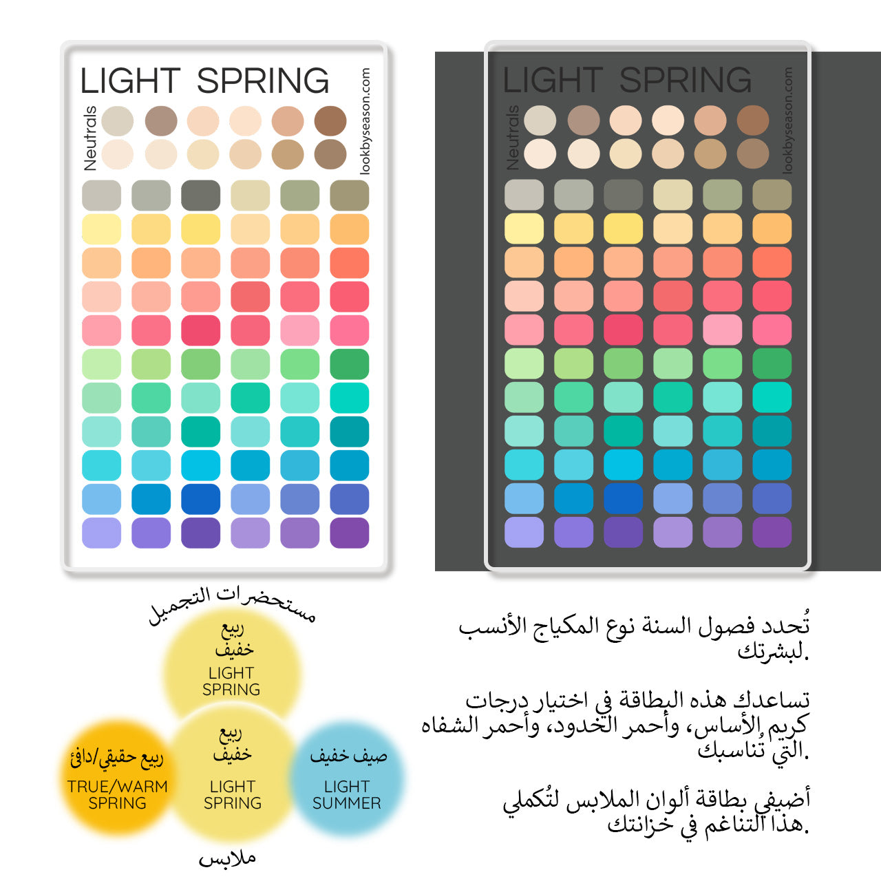 Swatch Card