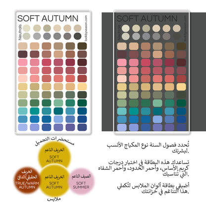 Swatch Card
