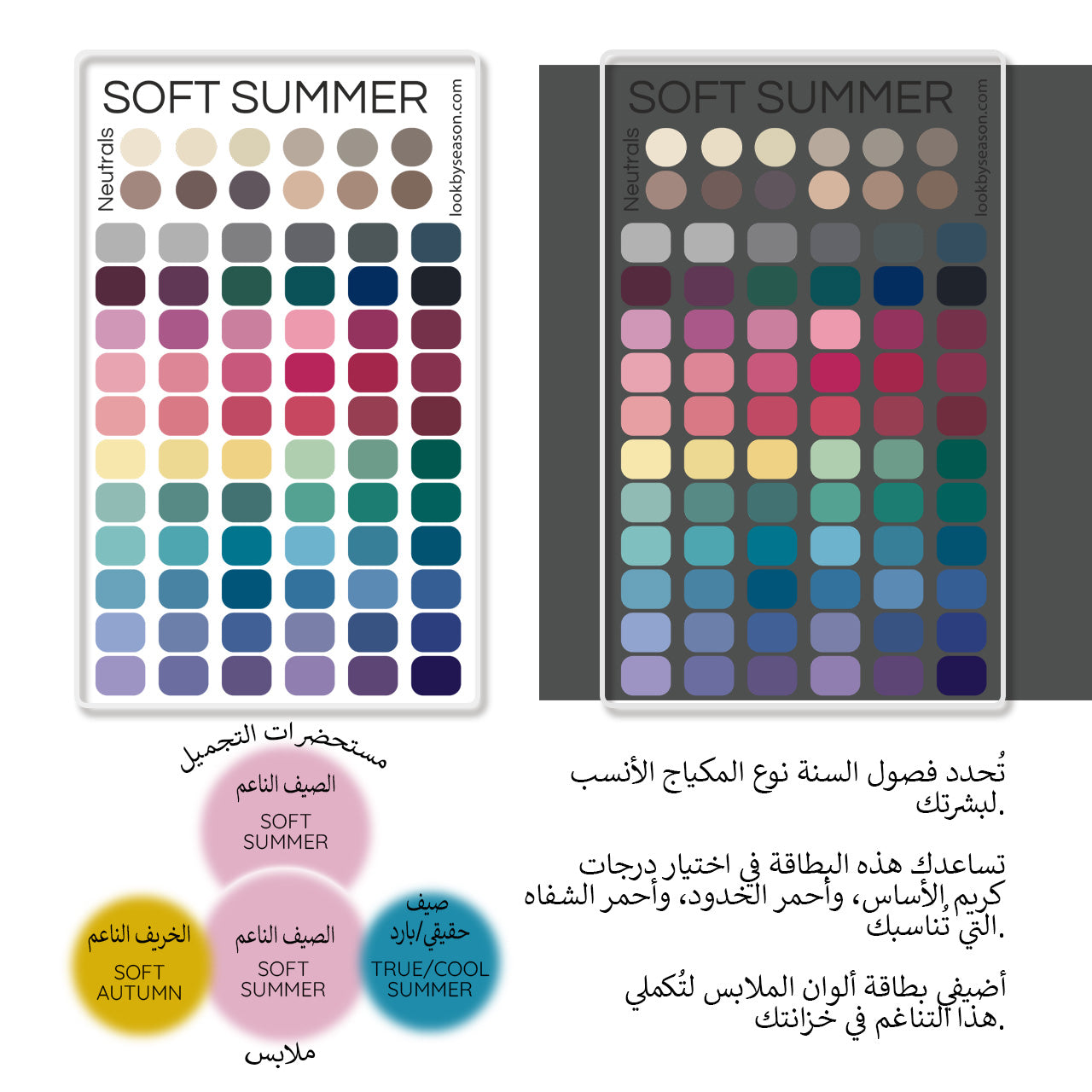 Swatch Card