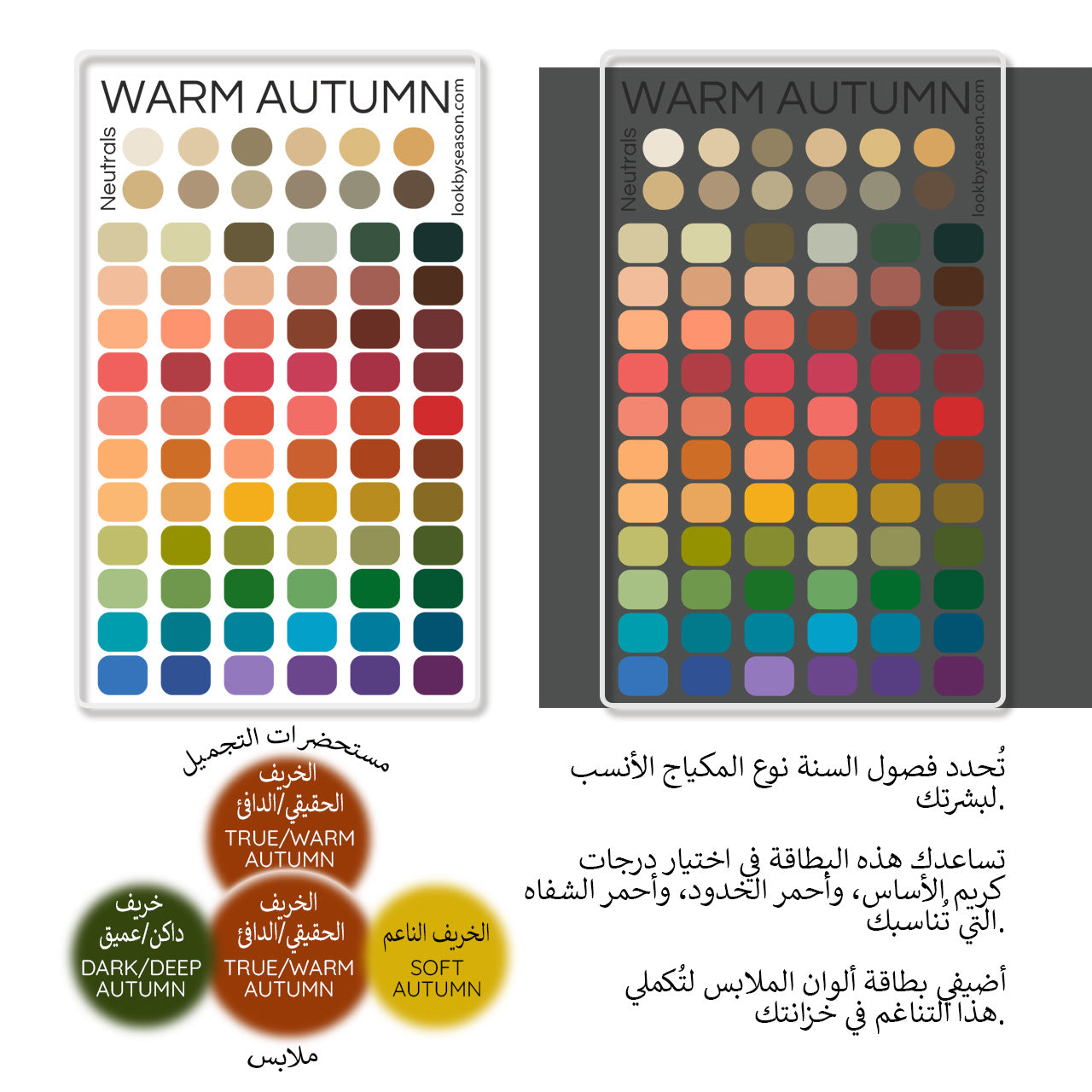 Swatch Card