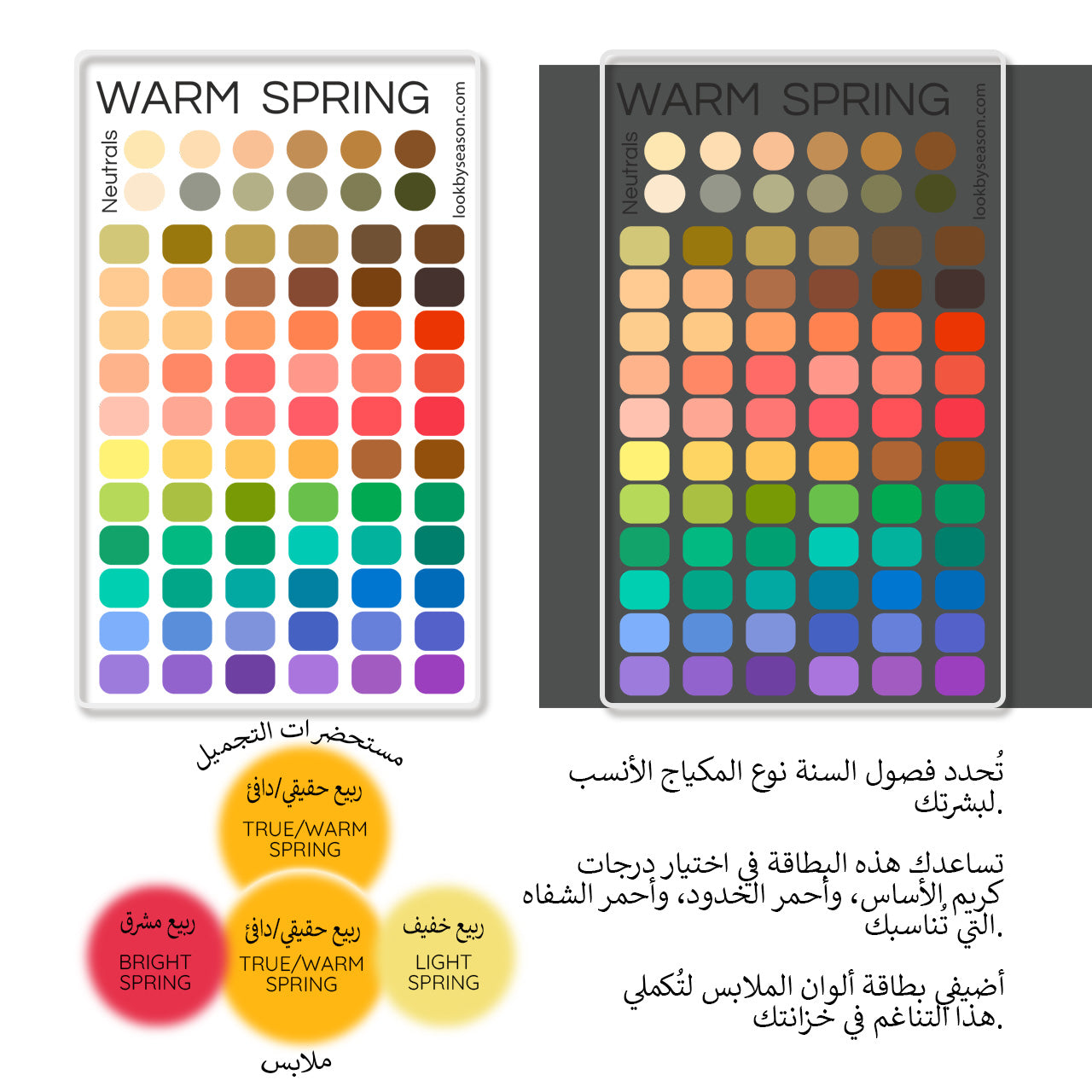 Swatch Card